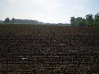 46 Acres (30 tillable).  1600' of Frontage along I-69.  (Average daily volume of 35,780).  Additional frontage on CR 1000 W and CR 650 N.  Excellent billboard/cell tower possibilities.  Will divide. - 46 Acres Quality Farmland